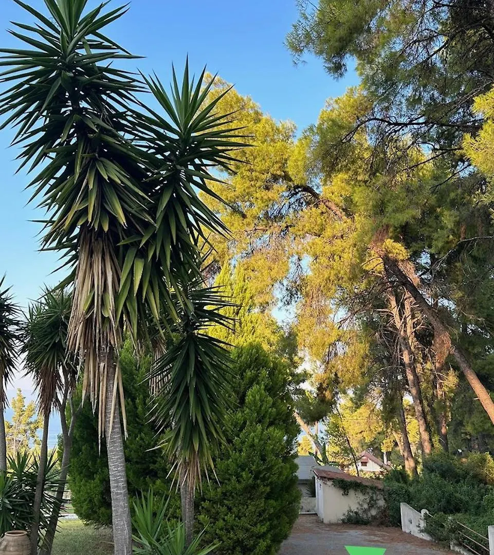 Paradise Pines Xenia - Near Hroussou And Xenia Beach Paliouri