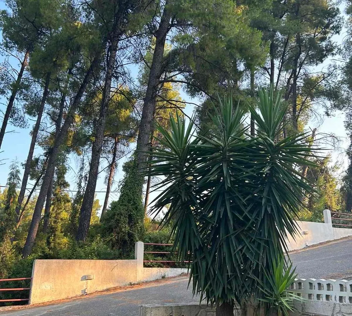 Paradise Pines Xenia - Near Hroussou And Xenia Beach Paliouri 0*,