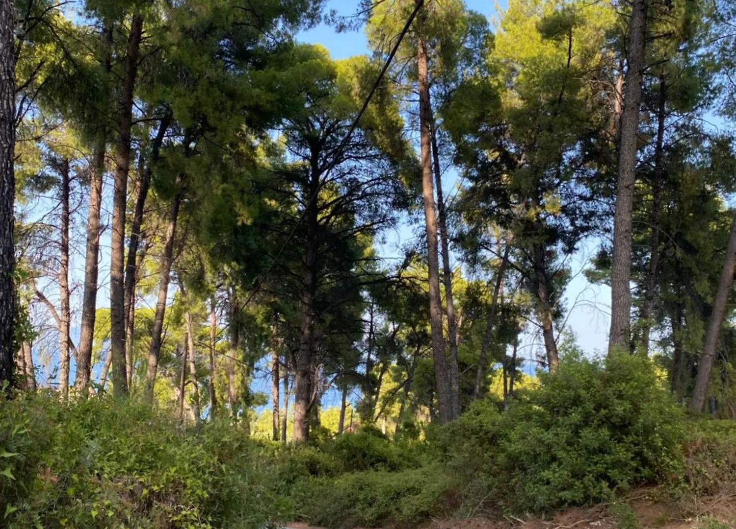 Paradise Pines Xenia - Near Hroussou And Xenia Beach Paliouri